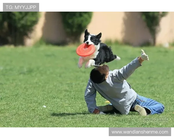 南京飞盘队在极限运动世界杯中的个人能力表现分析与点评